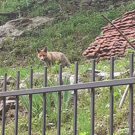 L'oasi Tranquilla